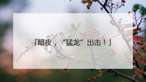暗夜，“猛龙”出击！