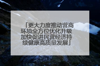 更大力度推动营商环境全方位优化升级加快促进民营经济持续健康高质量发展