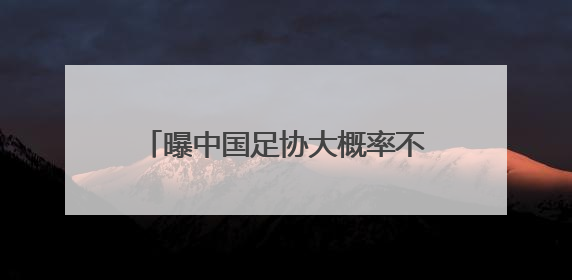 曝中国足协大概率不会与伊万科维奇续约
