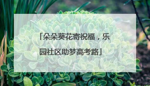 朵朵葵花寄祝福，乐园社区助梦高考路