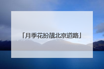月季花扮靓北京道路