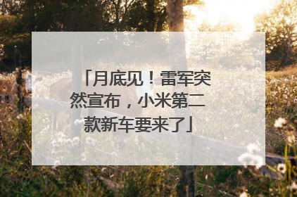 月底见！雷军突然宣布，小米第二款新车要来了