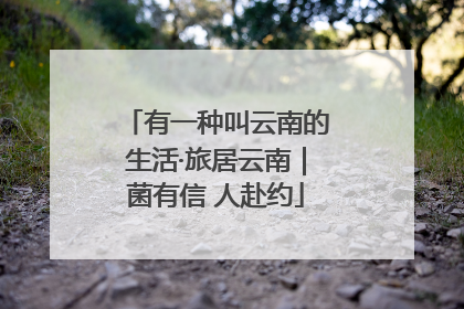 有一种叫云南的生活·旅居云南｜菌有信 人赴约