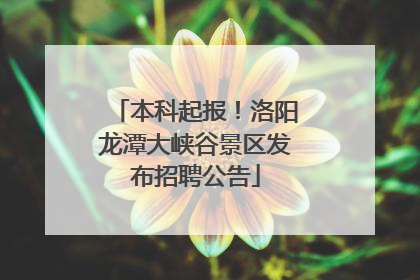 本科起报！洛阳龙潭大峡谷景区发布招聘公告