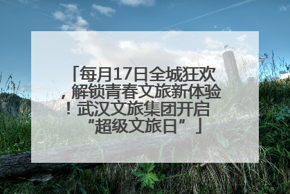 每月17日全城狂欢，解锁青春文旅新体验！武汉文旅集团开启 “超级文旅日”