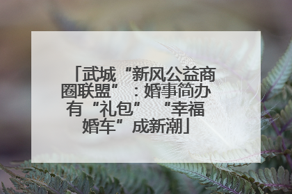 武城“新风公益商圈联盟”：婚事简办有“礼包” “幸福婚车”成新潮