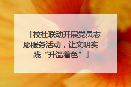校社联动开展党员志愿服务活动，让文明实践“升温着色”