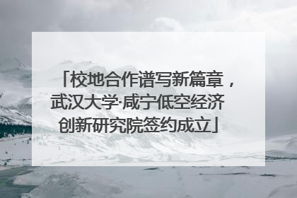 校地合作谱写新篇章，武汉大学·咸宁低空经济创新研究院签约成立