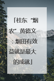 桂东“烟农”黄德文：烟田有效益就是最大的成就