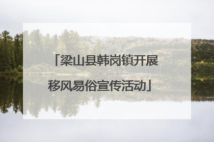 梁山县韩岗镇开展移风易俗宣传活动