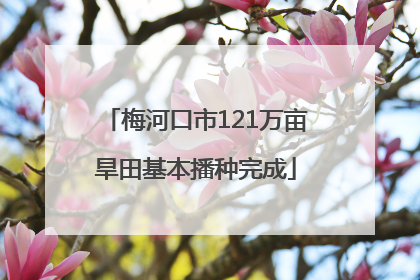梅河口市121万亩旱田基本播种完成