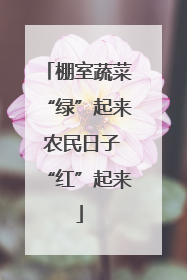 棚室蔬菜“绿”起来 农民日子“红”起来
