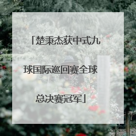楚秉杰获中式九球国际巡回赛全球总决赛冠军