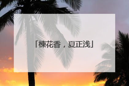 楝花香，夏正浅