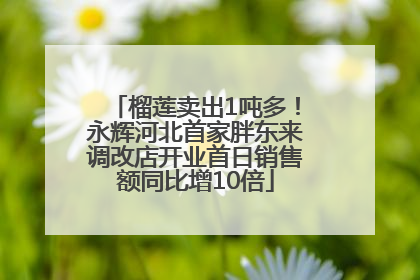 榴莲卖出1吨多！永辉河北首家胖东来调改店开业首日销售额同比增10倍
