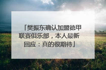 樊振东确认加盟德甲联赛俱乐部，本人最新回应：真的很期待
