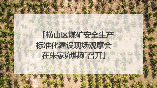 横山区煤矿安全生产标准化建设现场观摩会在朱家峁煤矿召开