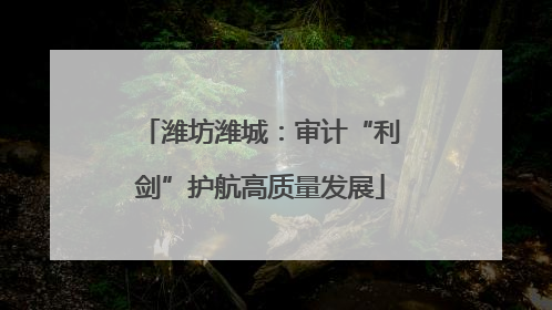 潍坊潍城：审计“利剑”护航高质量发展