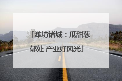 潍坊诸城：瓜甜葱郁处 产业好风光
