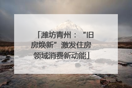 潍坊青州：“旧房焕新”激发住房领域消费新动能
