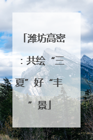 潍坊高密：共绘“三夏”好“丰”景