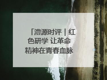 澧源时评｜红色研学 让革命精神在青春血脉中永续传承