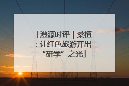 澧源时评｜桑植：让红色旅游开出“研学”之光