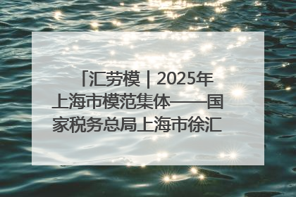 汇劳模｜2025年上海市模范集体——国家税务总局上海市徐汇区税务局第一税务所
