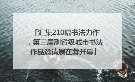 汇集210幅书法力作，第三届副省级城市书法作品邀请展在蓉开幕