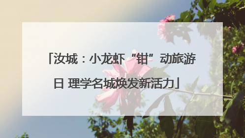 汝城：小龙虾“钳”动旅游日 理学名城焕发新活力
