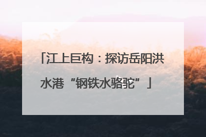 江上巨构：探访岳阳洪水港“钢铁水骆驼”