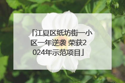 江夏区纸坊街一小区一年逆袭 荣获2024年示范项目