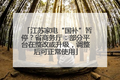 江苏家电“国补”暂停？省商务厅：部分平台在整改或升级，调整后可正常使用