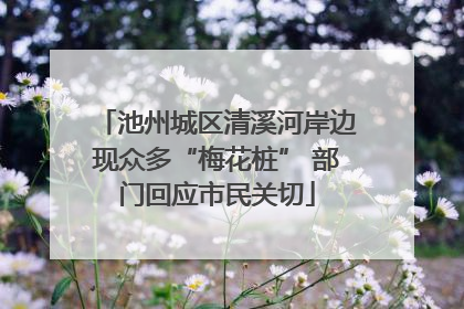 池州城区清溪河岸边现众多“梅花桩” 部门回应市民关切