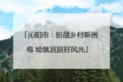 沁阳市：扮靓乡村新画卷 绘就宜居好风光