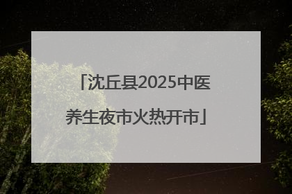 沈丘县2025中医养生夜市火热开市