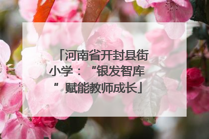 河南省开封县街小学：“银发智库”赋能教师成长