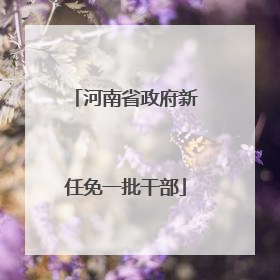 河南省政府新任免一批干部