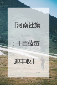河南社旗：千亩蓝莓迎丰收