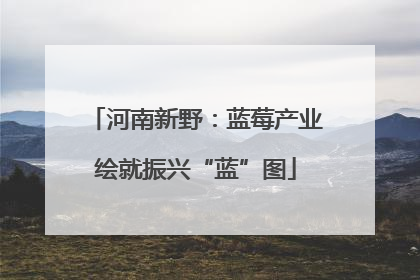 河南新野：蓝莓产业绘就振兴“蓝”图