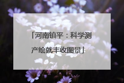 河南镇平：科学测产绘就丰收图景