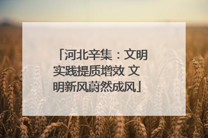 河北辛集：文明实践提质增效 文明新风蔚然成风