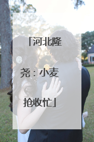河北隆尧：小麦抢收忙