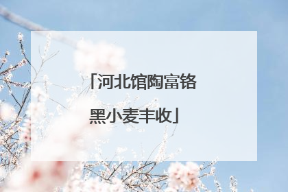 河北馆陶富铬黑小麦丰收