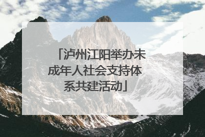 泸州江阳举办未成年人社会支持体系共建活动
