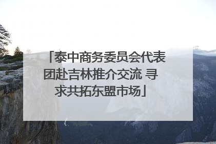 泰中商务委员会代表团赴吉林推介交流 寻求共拓东盟市场