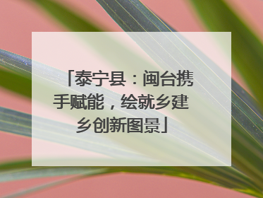 泰宁县：闽台携手赋能，绘就乡建乡创新图景