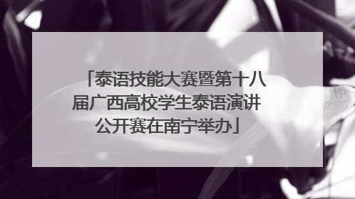 泰语技能大赛暨第十八届广西高校学生泰语演讲公开赛在南宁举办