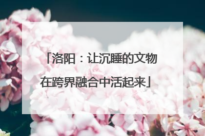 洛阳：让沉睡的文物在跨界融合中活起来
