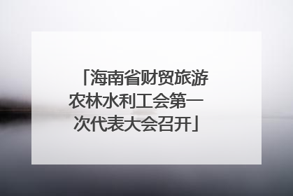 海南省财贸旅游农林水利工会第一次代表大会召开